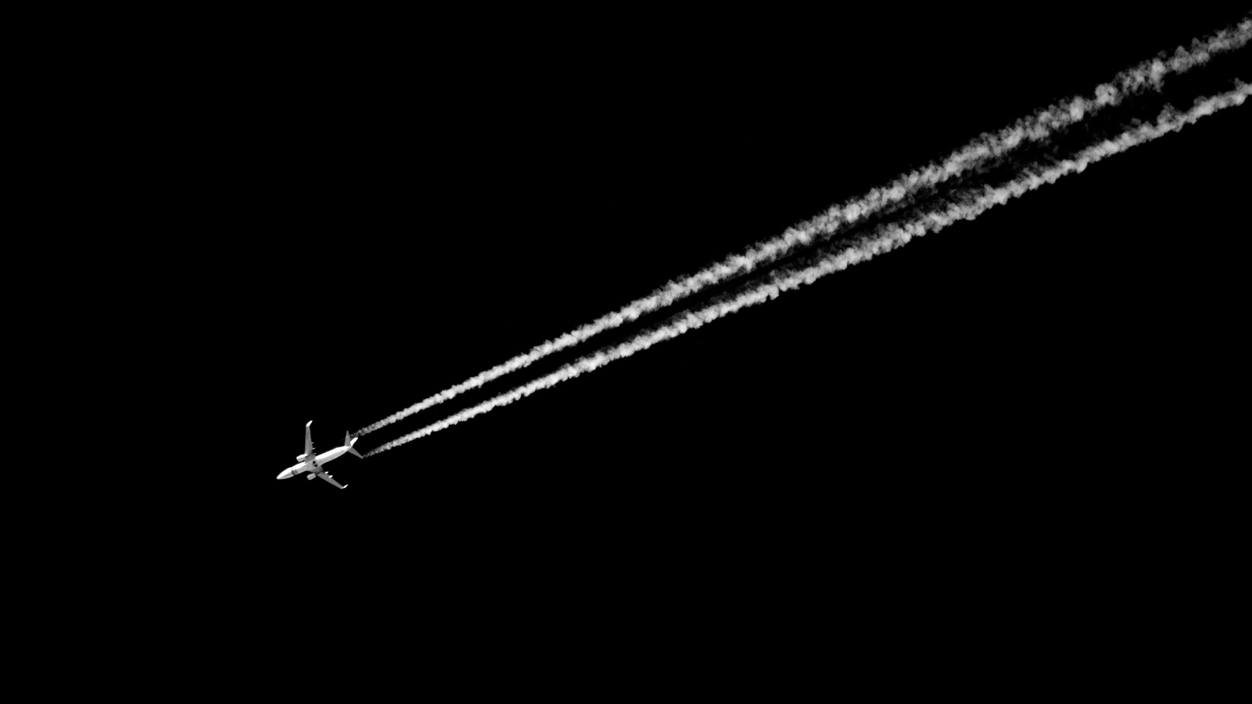 alles-over-iata-codes-specialcargo-nl
